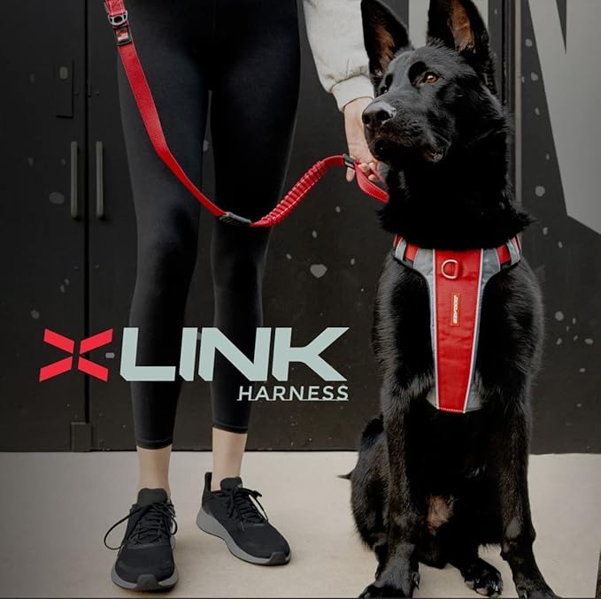 EzyDog X-Link Dog Harness – Reflective and Padded No Pull Dog Harness for Training and Everyday Walks with 2 Leash Attachment Points (X-Small, Olive)