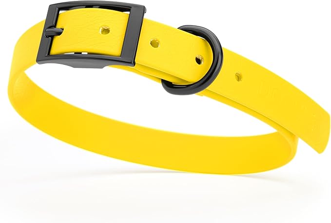 Dogline Biothane Coated Webbing Dog Collar with Black Metal Hardware: Durable Easy-Clean Everyday Collar for Dogs - Comfortable Adjustable Odor-Resistant Pet Collar, W3/4" x L15-18, Lemon Yellow