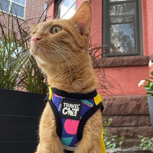 Travel Cat Harness and Leash Set - Adjustable Fit Harness and Reflective Strap - Comfort Walking Vest for Kitten for Outdoor Walking, Hiking (X-Small, 90s Cat)