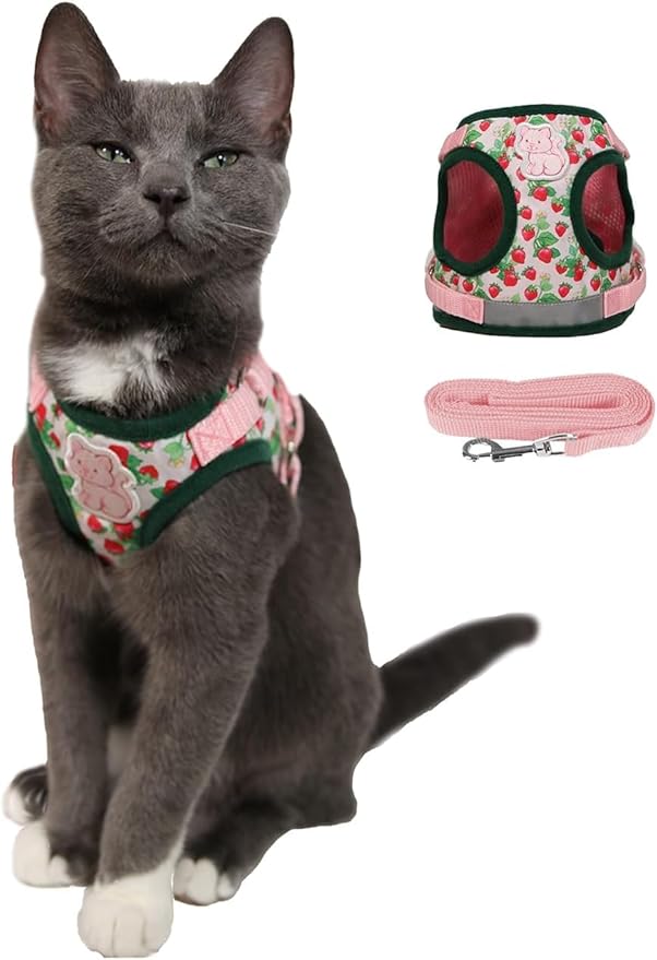 Travel Cat Strawberry Shortcake Harness & Leash Set - Adjustable Fit Mesh Cat Harness with Reflective Strap - Harness for Cats, Kittens for Outdoor (Strawberry Shortcake, Large)