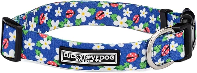 Lucky Love Dog - Adjustable Dog Collar with Easy Click Buckle for Small to Large Ones, Durable, & Comfortable for Male & Female Dogs, Pet Collar for Puppies & Adult Dogs - Lilian, Small