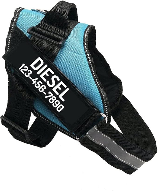 PawPawify Custom No Pull Dog Harness with Name and Phone Number, Heavy Duty Personalized Pet Vest to Prevent Tugging, Pulling, or Choking, Training and Walking (SkyBlue, M (20-40 LBS))