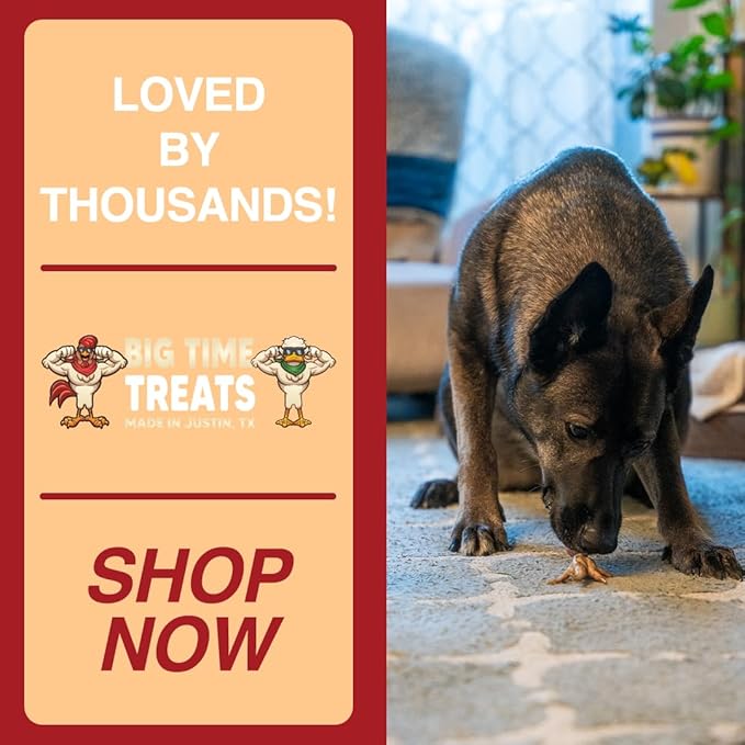 Chicken Feet Dog Treats - Single Bag - 15 Pieces - 100% Sourced and Made in USA