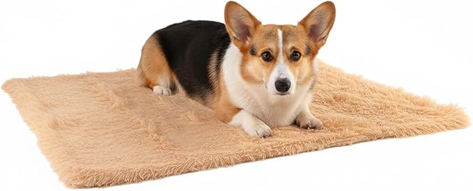 Pets Bed Blanket Dogs Reversible Soft Dog Throw Blankets Cats Mat Sleeper Fuzzy Pet Couch Covers Washable Cat Puppy Cover for Beds Car Sofa Travel Double Sided Furniture Protection (Champagne,M)