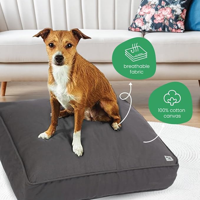 Molly Mutt Huge Dog Bed Cover - I’m A Realist Print - Measures 36”x45”x5’’ - 100% Cotton - Durable - Breathable - Sustainable - Machine Washable Dog Bed Cover