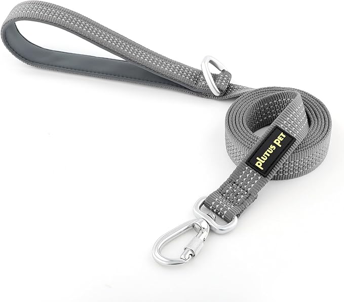 Plutus Pet Heavy Duty Dog Leash with Lockable Aluminum Carabiner, 4/6 Feet Long, Double-Sided Reflective Nylon, Padded Handle, for Puppy, Small, Medium and Large Dogs (Gray, 1" x 6')