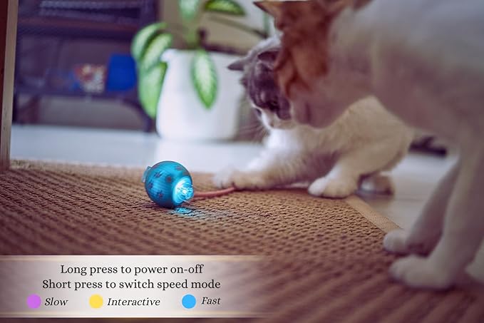 PAWQUÉR Interactive Cat Toys for Indoor Cats | Premium Quality with 3 Detachable Tails | Automatic Speed Modes with Real-Motion Movement | Rechargeable | Fun for Bored Adult Cats and Kittens