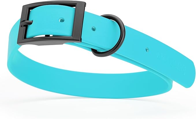 Dogline Biothane Coated Webbing Dog Collar with Black Metal Hardware: Durable Easy-Clean Everyday Collar for Dogs - Comfortable Adjustable Odor-Resistant Pet Collar, W1 x L18-22, Sky Blue