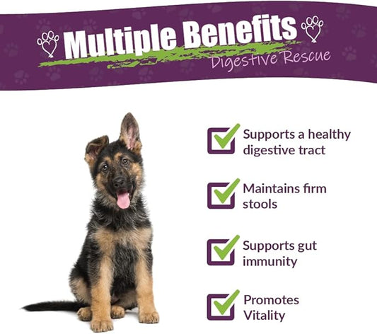 Amber NaturalZ Paxaid Digestive Rescue Herbal Supplement for Dogs and Puppies | Canine Herbal Supplement for Occasional Digestive Upset Support | 4 Fluid Ounce Glass Bottle | Manufactured in The USA