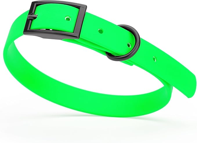 Dogline Biothane Coated Webbing Dog Collar with Black Metal Hardware: Durable Easy-Clean Everyday Collar for Dogs - Comfortable Adjustable Odor-Resistant Pet Collar, W5/8" x L12-15, Tropical Green