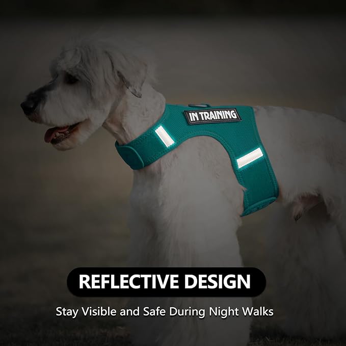 Dog Harness for Puppy – Adjustable Reflective Easy Put On Soft Mesh Vest for Small Dogs with 2 Patches (MARRS Green,XXXS)