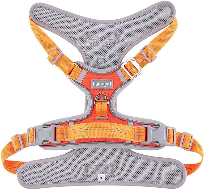 Adjustable Dog Harness - No Pull, Reflective, Soft Padded for Small, Medium, Large Dogs - Includes Leash Orange XL
