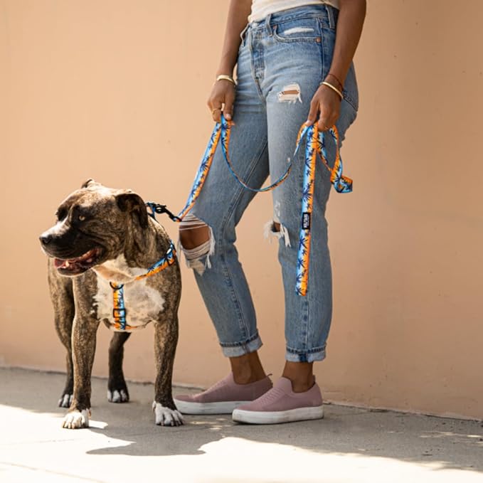 Wolfgang Heavy Duty Adjustable Dog Harness, Pull-Tested to Over 800 lbs for Walking & Training, SunsetPalms Print, Large