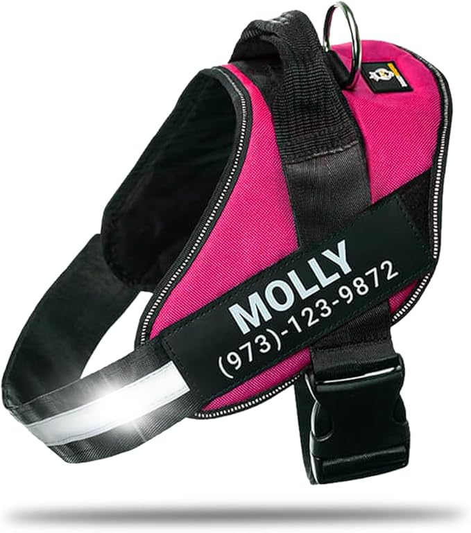 Personalized No-Pull Dog Harness with Name Patch, Adjustable, Reflective, Padded, Heavy Duty Pet Vest to Prevent Tugging, Pulling, or Choking, Training and Walking, Rose Red, L