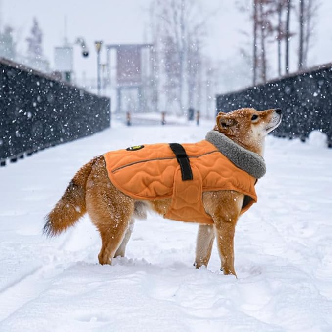 Dog Coats, Fleece Lining Winter Coats for Dogs, Adjustable Windproof Pet Cold Weather Coat, Quick Release Buckle Puppy Jacket for Small Medium Large Dogs, Orange S