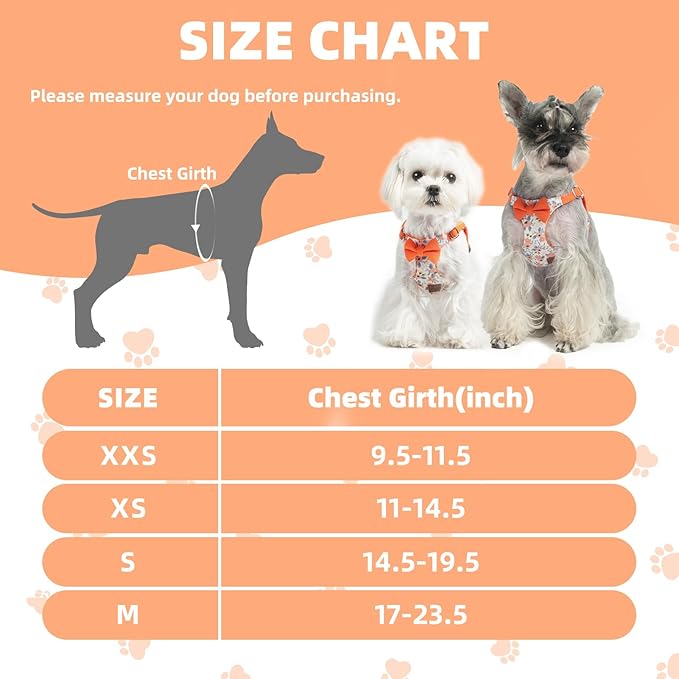 PUPTECK Dog Harness and Leash Set Small Sized, Step-in Cute Puppy Harness, Soft Lightweight Padded Vest, Escape Proof No Pull Pet Harnesses Easy for Walking, Flower Orange, XXS