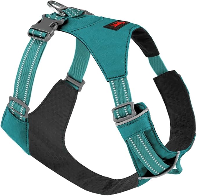 Tuff Pupper All-Day Wear Dog Harness | for Walking, Trail Running, Hiking | Front & Back Leash Clips | Reflective Trim | Easy On/Off Buckles | Lightweight Breathable | No Pull Design (Small, Teal)