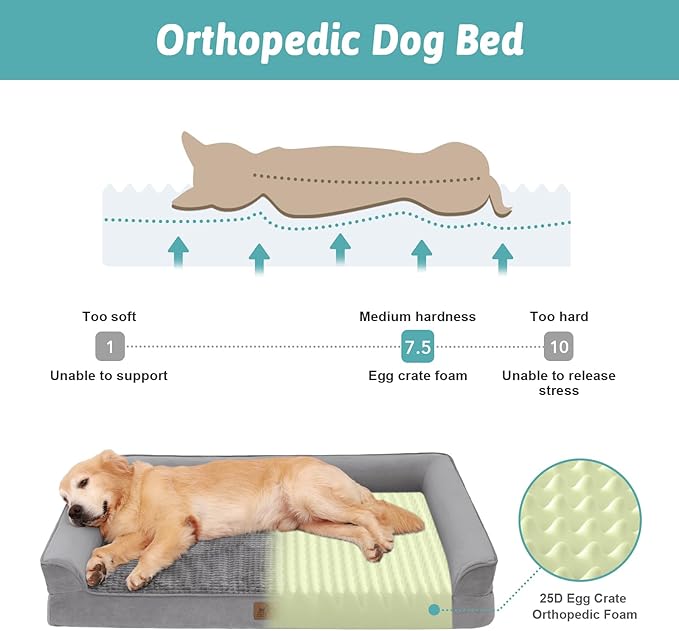 Orthopedic Dog Bed for Large Dog, XL Pet Couch for Extra Large Dog, Big Supportive Foam Bolster Sofa with Waterproof Lining Cover, Anti-Slip, Comfort, Washable, 42x30x7.5 in, U-Shaped, Grey