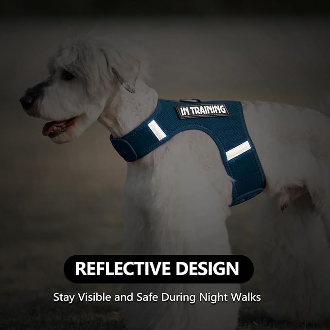 Dog Harness for Puppy – Adjustable Reflective Easy Put On Soft Mesh Vest for Small Dogs with 2 Patches (Prussian Blue,M)