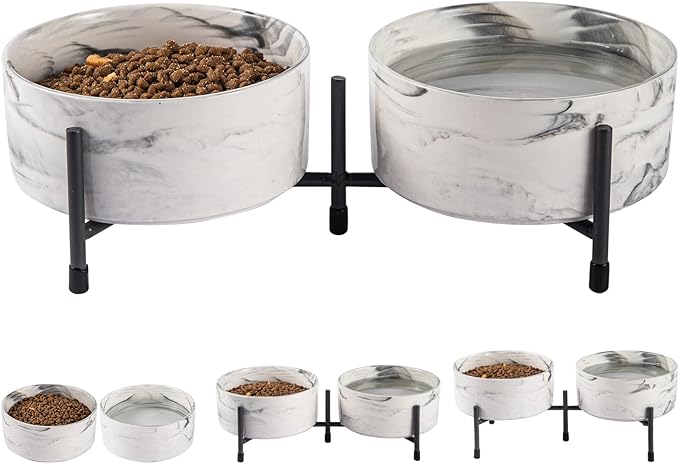 6 Inch Raised Ceramic Dog and Cat Bowl with Iron Stand, 32 OZ Modern Elevated Food and Water Bowls for Cats & Dogs, No Spill Porcelain Pet Feeder, Set of 2