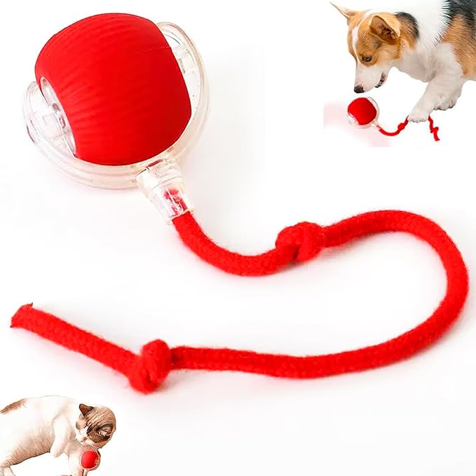 Zarutor Interactive Rolling Ball, 360° Smart Automatic Rolling Electric Dog Ball, Chase Mate Cat Toy, Durable and Safe, Fast Rolling Toy for Dogs and Cats (Red)