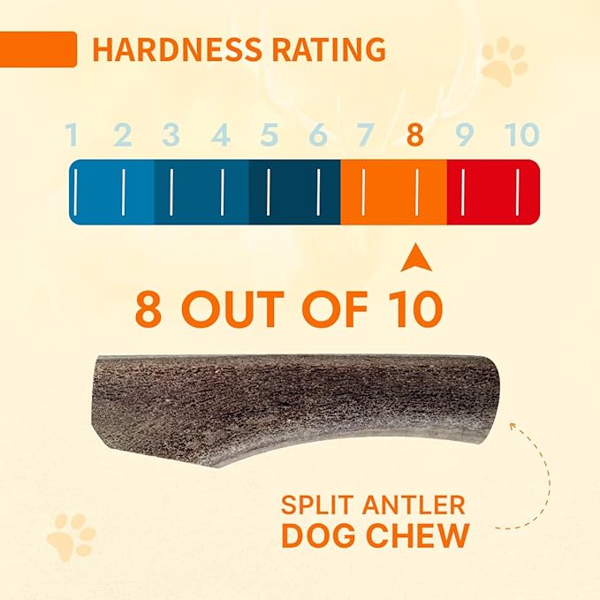 Tibetan Elk Antler for Dogs, Grade-A, 7"+ Premium Antler Chews, Naturally shed Healthy & Longer Lasting Aggressive chewers, USA Product (Whole)