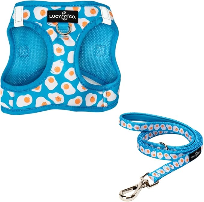 Lucy & Co. Eggcelent Step-in Cat Harness & Leash Bundle – Reflective, Breathable & Adjustable Harness for Cats, Kittens & Small Dogs, Lightweight & Secure and Dual Leash Clips – Small