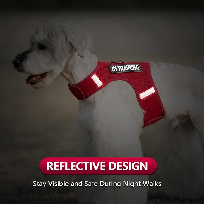 Dog Harness for Puppy – Adjustable Reflective Easy Put On Soft Mesh Vest for Small Dogs with 2 Patches (Burgundy Red,XXS)