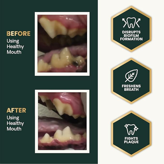 VetriScience Healthy Mouth Dog Dental Powder, 2Pack – Helps Reduce Plaque & Tartar Buildup, Support Clean Teeth & Fresh Breath, Vet-Formulated Oral Care Powder for Dogs Cats, NASC Certified, 2 x 4.2oz