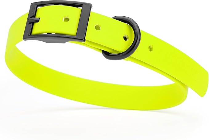 Dogline Biothane Coated Webbing Dog Collar with Black Metal Hardware: Durable Easy-Clean Everyday Collar for Dogs - Comfortable Adjustable Odor-Resistant Pet Collar, W3/4" x L15-18, Safety Yellow
