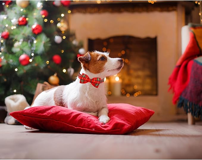 Lionheart Plaid Christmas Dog Collar - Adjustable Bow Tie Collar for Small Dogs