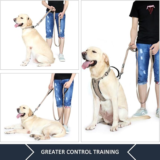 Plutus Pet Double Handle Dog Leash 6ft, Heavy Duty, Reflective Dual Handle Dog Leash for Safety Training, for Medium Large Dogs,2 Handle Leads(Beige)