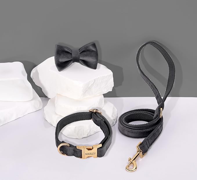 Velvet Harness Set, Gift for Pet Owners, Custom Dog Collar Personalized Name and Phone Number, Custom Collar Leash for Dogs, Engraved Metal Buckle Collar (Small)