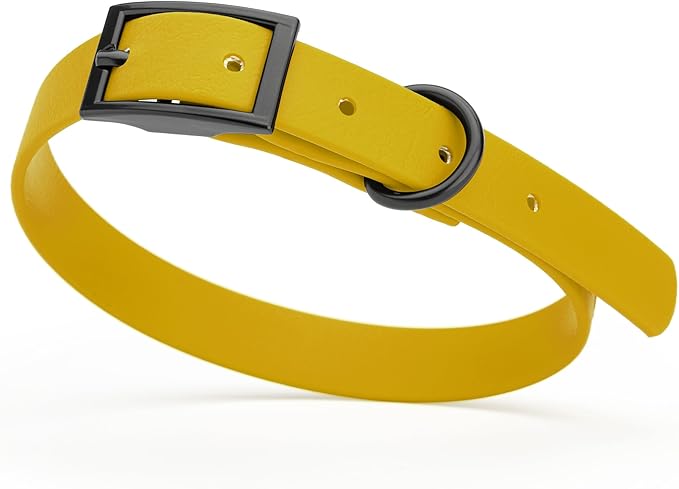 Dogline Biothane Coated Webbing Dog Collar with Black Metal Hardware: Durable Easy-Clean Everyday Collar for Dogs - Comfortable Adjustable Odor-Resistant Pet Collar, W5/8" x L12-15, Treasure Gold