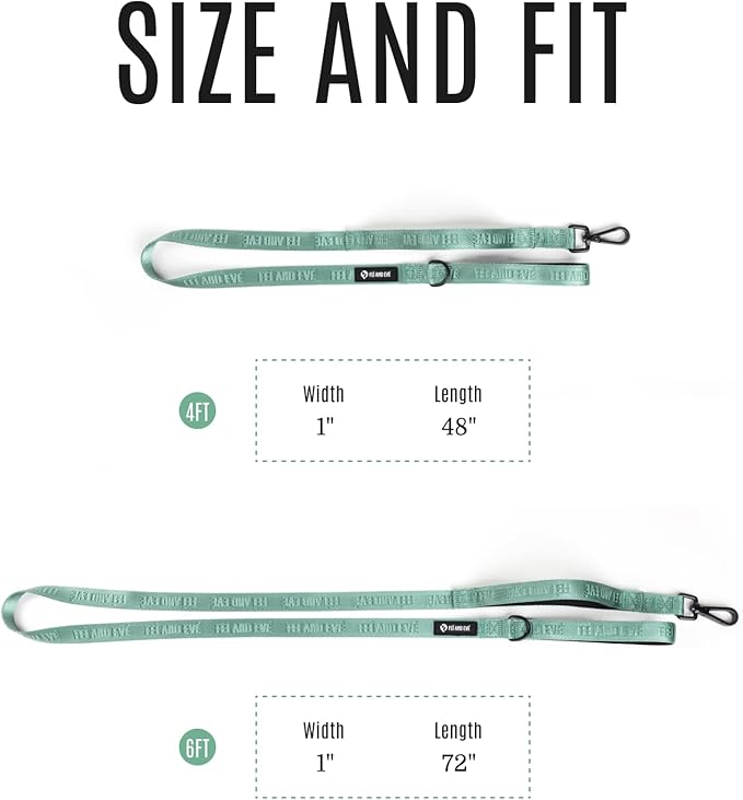 2025 New Edition, Fei & Eve Classic Dog Leash - 4FT, Dual Padded Handles, 360° Swivel Hook, Heavy Duty 210D Nylon - No-Pull Design with Traffic Control Handle - for Small/Medium/Large Dogs, Green