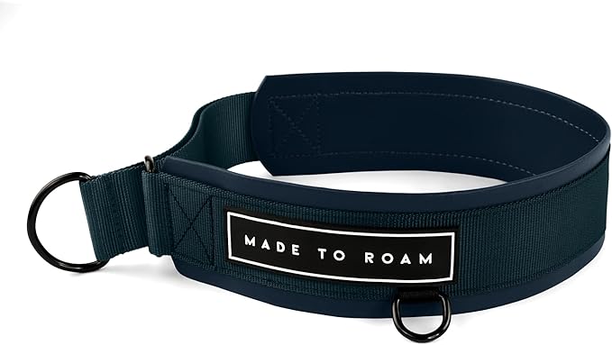 MADE TO ROAM Premium Everyday Dog Collar - Martingale Style No Pull Vegan Leather Collar, Heavy Duty and Lightweight for Small, Medium, Large Dogs (Colorado Nightsky, Size 11)