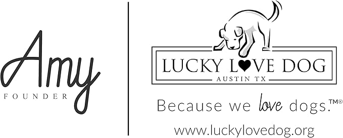 Lucky Love Dog Martingale Dog Collar - Adjustable, No-Slip, Comfortable, Durable, Soft Webbing & Stylish Patterned Collar for Male and Female Dogs Ideal for Training & Walking - Carriebelle, Large