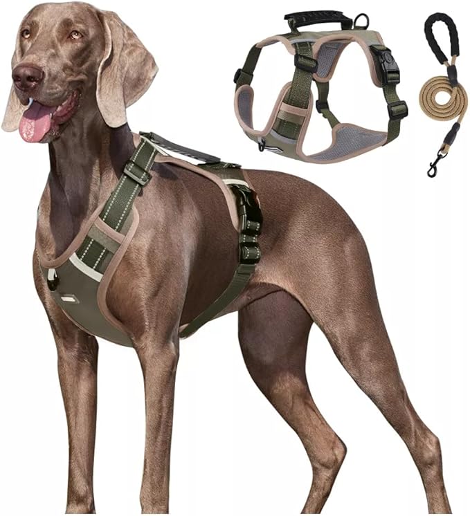 Dog Harness No Pull Adjustable Reflective,for Medium and Large Small Dog with Leash 59.06in (Khaki, L)