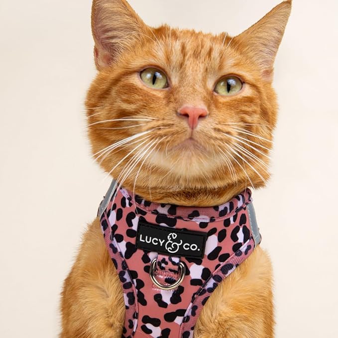 Lucy & Co. Wild Side Step-in Cat Harness & Leash Bundle – Reflective, Breathable & Adjustable Harness for Cats, Kittens & Small Dogs, Lightweight & Secure and Dual Leash Clips – Small