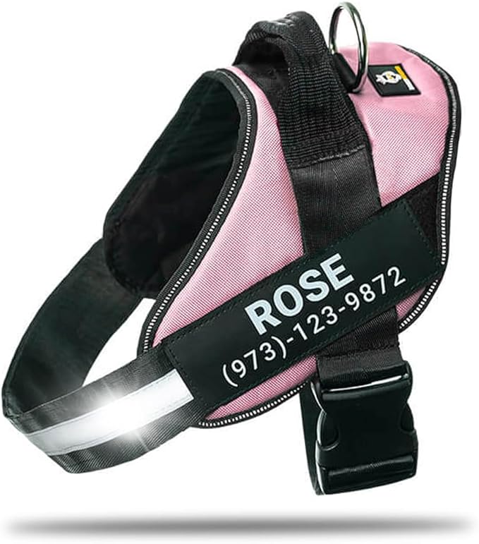 Personalized No-Pull Dog Harness with Name Patch, Adjustable, Reflective, Padded, Heavy Duty Pet Vest to Prevent Tugging, Pulling, or Choking, Training and Walking, Pink, 2XL