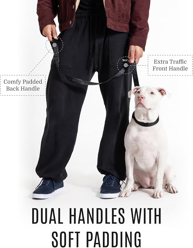 2025 New Edition, Fei & Eve Classic Dog Leash - 6FT, Dual Padded Handles, 360° Swivel Hook, Heavy Duty 210D Nylon - No-Pull Design with Traffic Control Handle - for Small/Medium/Large Dogs, Black