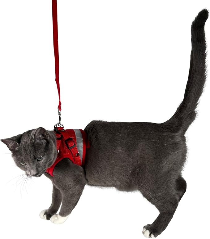 Travel Cat Harness and Leash Set - Adjustable Fit Mesh Cat Harness and Reflective Strap - Comfort Walking Vest for Kitten for Outdoor Walking, Hiking (Large, Red)