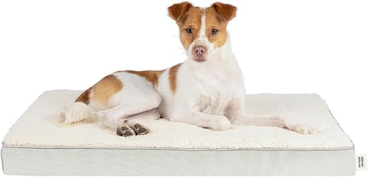 Best Pet Supplies Dog House Bed Crate Mat Tent Indoor Round Soft Plush for Small, Medium, and Large Breeds - Beige, 30 x 20 x 3