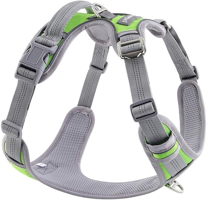 Adjustable Dog Harness - No Pull, Reflective, Soft Padded for Small, Medium, Large Dogs - Includes Leash Green XL