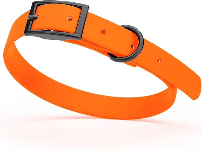 Dogline Biothane Coated Webbing Dog Collar with Black Metal Hardware: Durable Easy-Clean Everyday Collar for Dogs - Comfortable Adjustable Odor-Resistant Pet Collar, W5/8" x L12-15, Hunter Orange