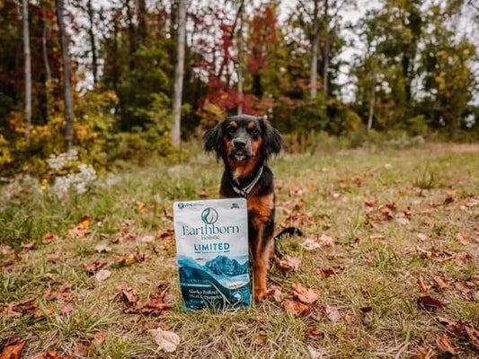Earthborn Holistic Venture Alaska Pollock Meal & Pumpkin 25 lb. Limited Ingredient Grain-Free Dry Dog Food
