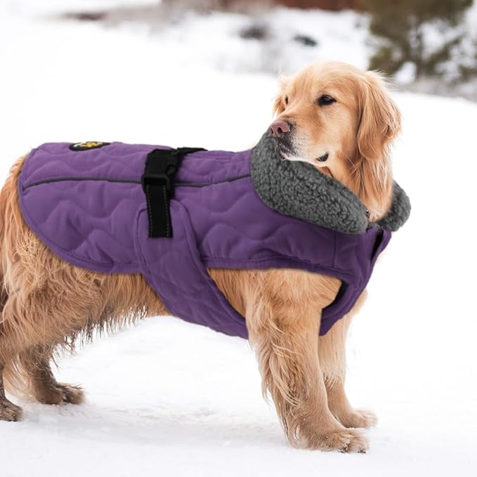 Dog Coat for Winter, Windproof Dog Apparel for Cold Weather, Furry Collar Warm Fleece Lining Water Resistant Pet Coats with Buckle, Reflective Pet Winter Clothes for Large Dogs, Purple XXL
