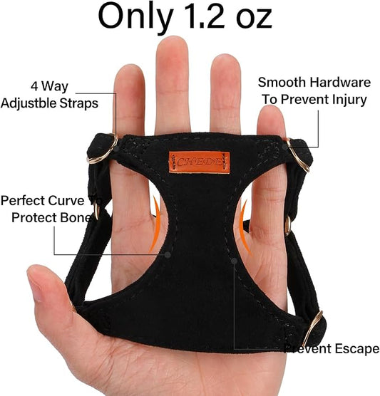 No Pull Dog Harness- Lightweight, Soft, Adjustable Small Harness Collar and Leash Set, Suitable for Cats Puppy Small and Medium-Sized Dog Outdoor Training and Running (Black, XS)