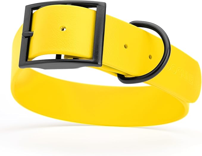 Dogline Biothane Coated Webbing Dog Collar with Black Metal Hardware: Durable Easy-Clean Everyday Collar for Dogs - Comfortable Adjustable Odor-Resistant Pet Collar, W1/2" x L9-12, Lemon Yellow