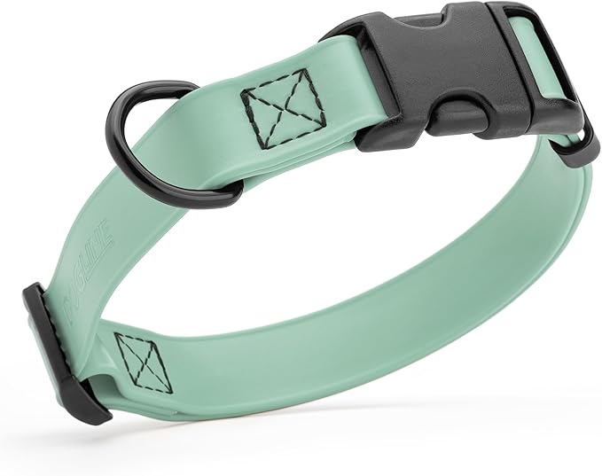 Dogline Durable Biothane Waterproof Collar for Dogs - Odor-Resistant Coated Webbing, Quick-Release Design, Comfortable Adjustable Fit, 5/8" W by 10-14" L,Sage Green